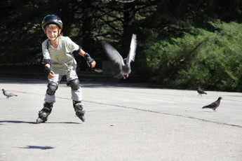 Картинка разное дети мальчик шлем ролики голуби