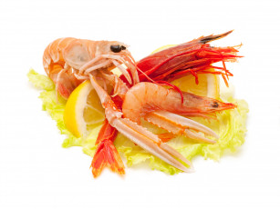 Картинка еда рыбные+блюда +с+морепродуктами лимон креветки