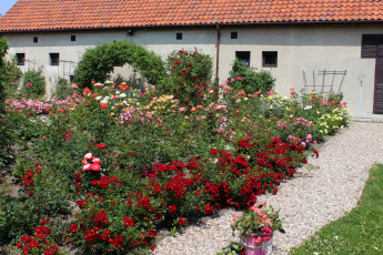 Картинка lublin+province poland города -+здания +дома lublin province