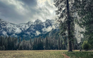 Картинка природа горы облака лес поляна