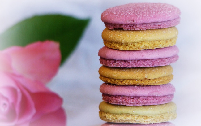 Обои картинки фото еда, макаруны, лакомство, печенье, ассорти