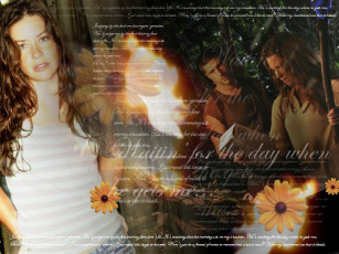 Картинка кино фильмы lost