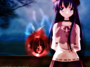 Картинка аниме sola