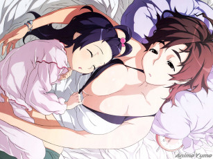 Картинка аниме witch blade