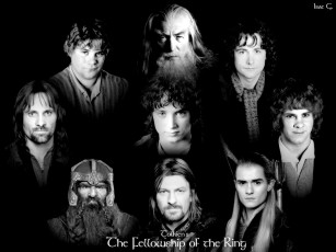 Картинка кино фильмы the lord of rings fellowship ring