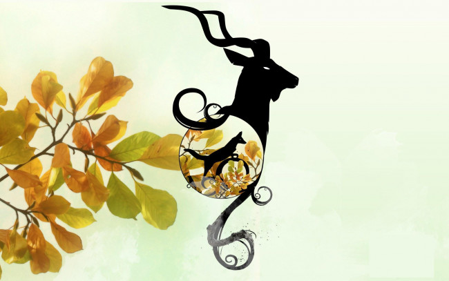 Обои картинки фото векторная, графика