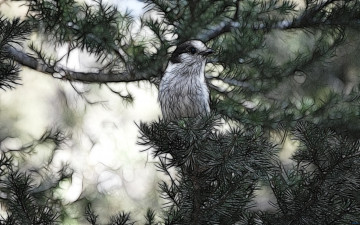 Картинка 3д графика animals животные