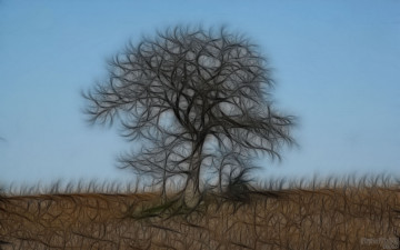 Картинка 3д графика nature landscape природа