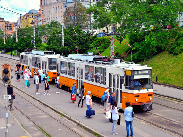 Обои картинки фото техника, трамваи