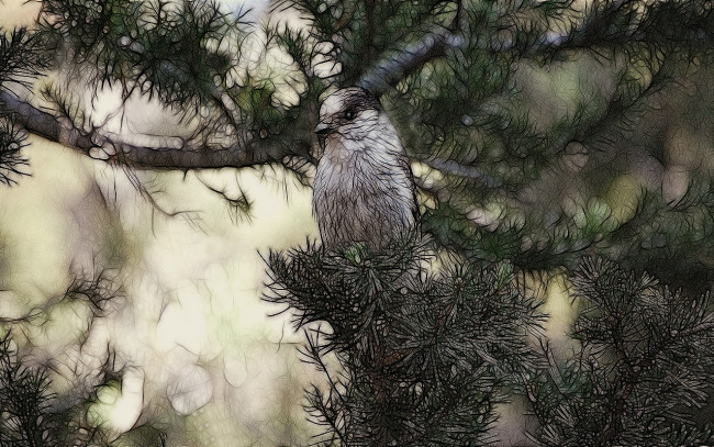 Обои картинки фото 3д, графика, animals, животные