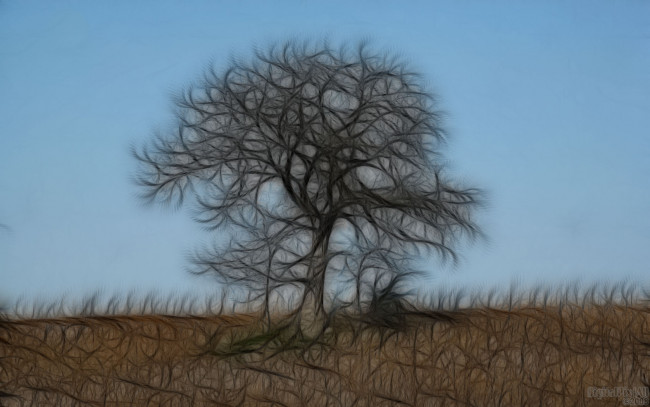 Обои картинки фото 3д, графика, nature, landscape, природа