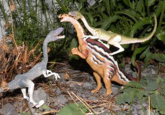 Картинка разное рельефы статуи музейные экспонаты динозавры