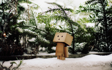 Картинка разное данбо danboard