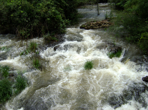 Обои картинки фото водопады, игуасу, бразилия, природа