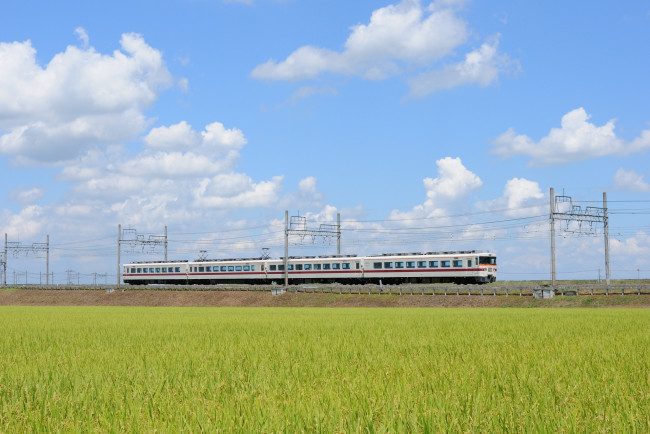 Обои картинки фото техника, поезда, поезд