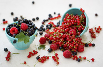 Картинка еда фрукты ягоды малина смородина
