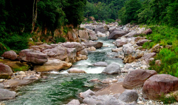 Картинка природа реки озера лес трава валуны река