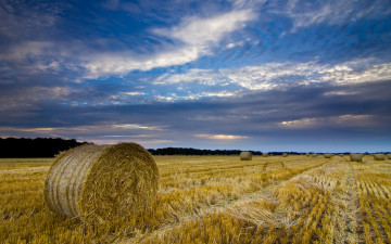 Картинка природа поля сено облака