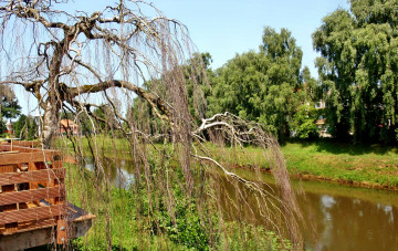 Картинка природа реки озера река трава деревья