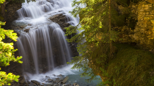 Обои картинки фото johnston, canyon, banff, national, park, alberta, canada, природа, водопады, банф, альберта, канада, скала, ель, дерево