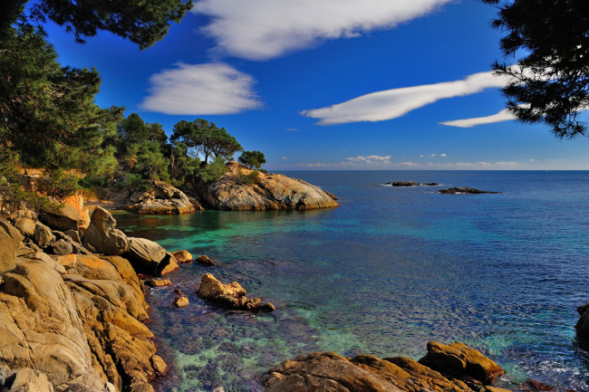 Обои картинки фото коста, брава, испания, природа, побережье, деревья, камни, море