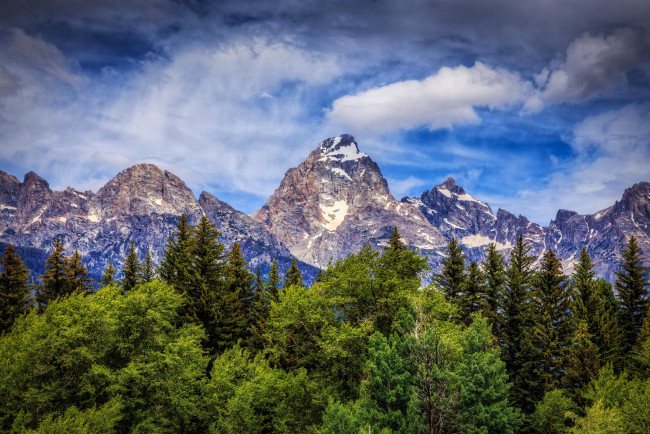 Обои картинки фото grand, teton, national, park, wyoming, природа, горы, деревья, вайоминг, гранд-титон