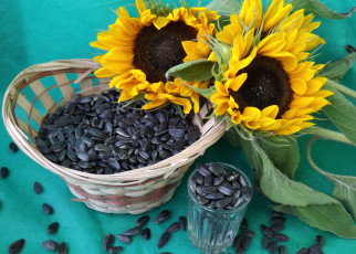 Картинка еда крупы +зерно +специи +семечки подсолнухи семечки