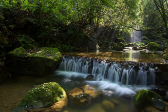 Картинка природа водопады лес река камни