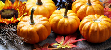 Картинка еда тыква урожай осень