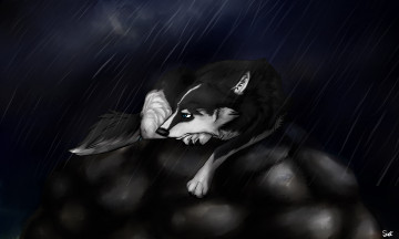 Картинка рисованные животные +собаки ночь собака