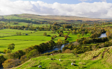 Картинка природа пейзажи небо холмы поля деревья река овцы