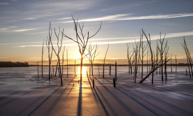 Обои картинки фото природа, восходы, закаты, деревья, лёд, снег, озеро, солнце, зима