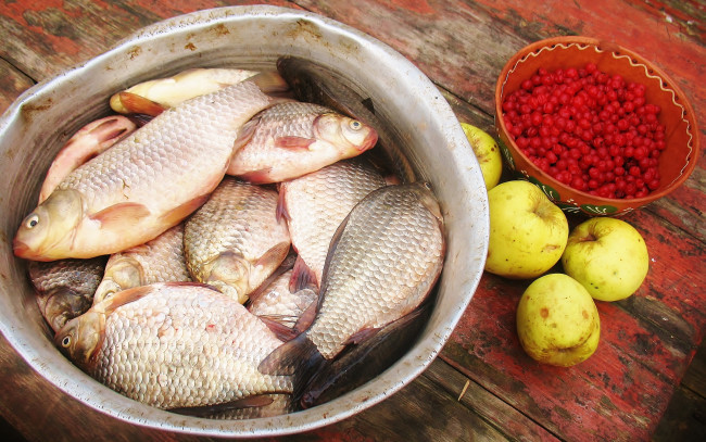 Обои картинки фото еда, рыба,  морепродукты,  суши,  роллы