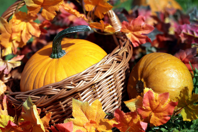 Обои картинки фото еда, тыква, листья, корзинка