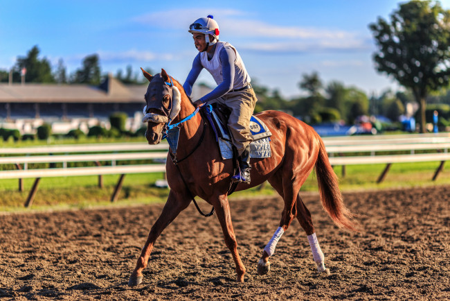 Обои картинки фото спорт, конный спорт, ипподром, скачки