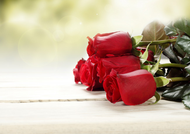 Обои картинки фото цветы, розы, бутоны, листва, букет