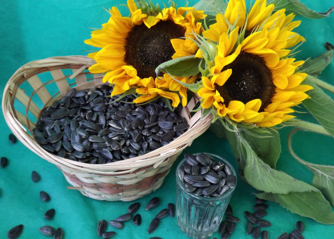 Обои картинки фото еда, крупы,  зерно,  специи,  семечки, подсолнухи, семечки