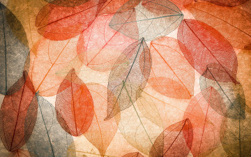 Картинка векторная+графика природа+ nature autumn leaves transparent abstract colorful листья осенние фон