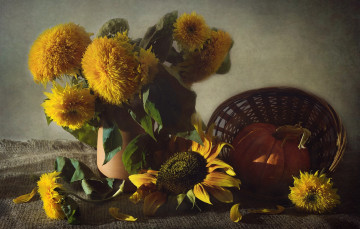 Картинка цветы подсолнухи желтый текстура тыква