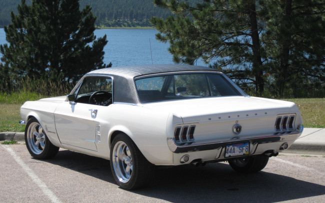 Обои картинки фото автомобили, mustang