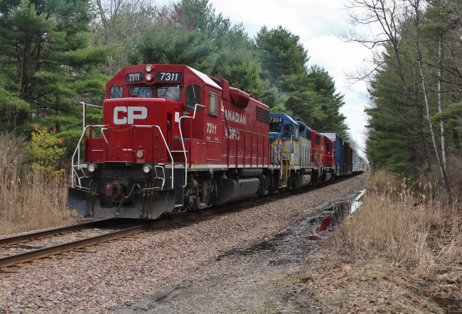 Обои картинки фото техника, поезда, локомотив, рельсы, железная, дорога, состав