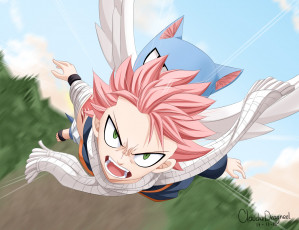 Картинка аниме fairy+tail хвост феи