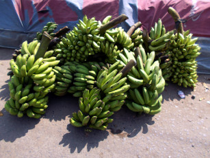 Картинка еда бананы зеленые связки