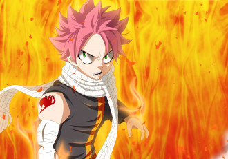 Картинка аниме fairy+tail хвост феи