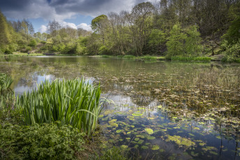 Картинка природа реки озера простор