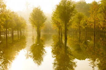 Картинка природа реки озера вода