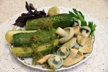 Картинка еда консервация малосольные посуда укроп фарфор лето натюрморт огурцы грибы грузди вкуснота блюдо