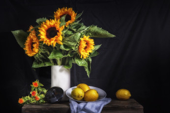 Картинка еда натюрморт цитрус подсолнух лимон цветы