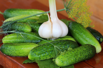 Картинка еда огурцы лето дача вкусно чеснок урожай