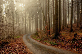 Картинка природа дороги простор